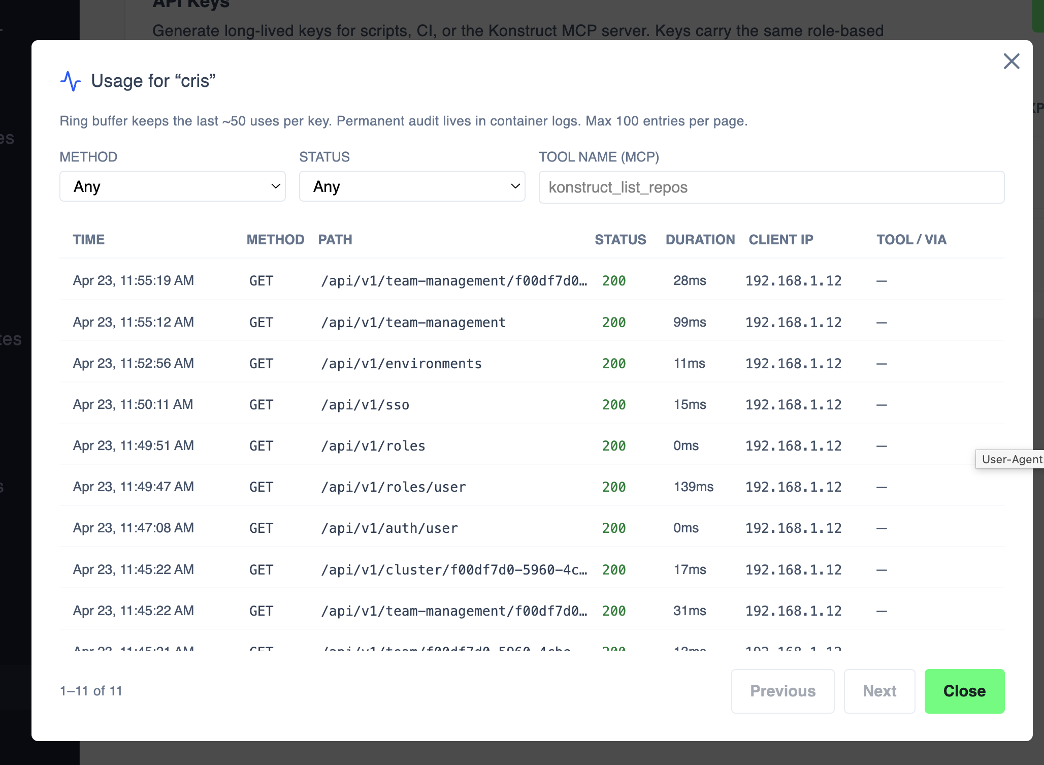 Usage activity dialog showing recent API calls